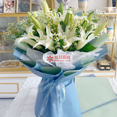 盐城8支白色多头百合洋甘菊，互倾的思念