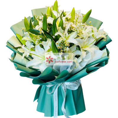 盐城8支白色多头百合洋甘菊，如潮的思念