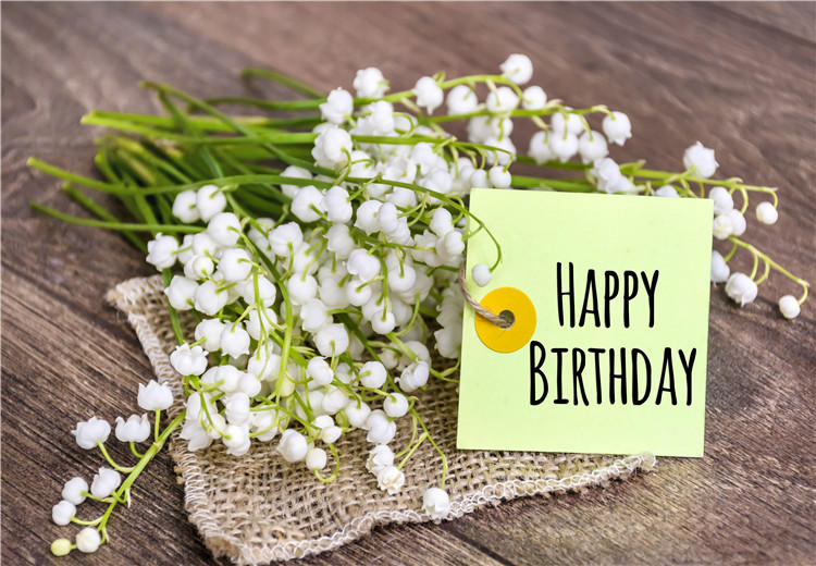 盐城好朋友过生日，生日祝福语怎么说？